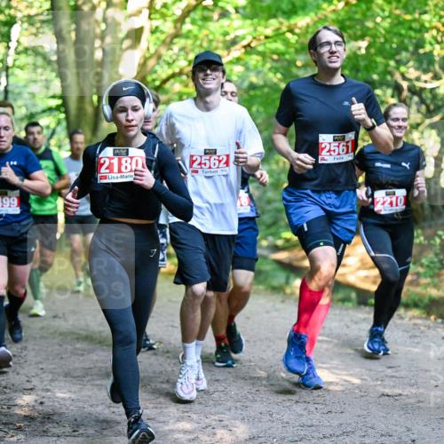 28.09.2025 - 33. Volkslauf durch das schöne Alstertal Dr. Thomas Lammeyer http://msf.ph/oto/8954439 28.09.2025 10:38:45 Laufen 2499, 2180, 2562, 2562, 2561, 7, 2210 meine-sportfotos.de