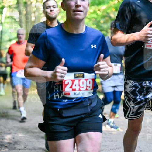 28.09.2025 - 33. Volkslauf durch das schöne Alstertal Dr. Thomas Lammeyer http://msf.ph/oto/8954453 28.09.2025 10:38:47 Laufen 4512499, 2498 meine-sportfotos.de