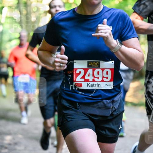 28.09.2025 - 33. Volkslauf durch das schöne Alstertal Dr. Thomas Lammeyer http://msf.ph/oto/8954455 28.09.2025 10:38:47 Laufen 2499, 2019, 49 meine-sportfotos.de