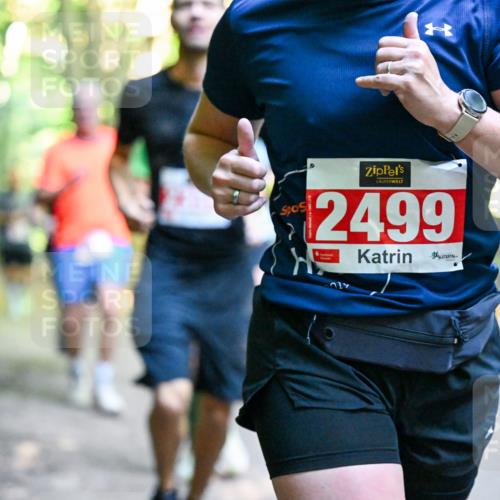 28.09.2025 - 33. Volkslauf durch das schöne Alstertal Dr. Thomas Lammeyer http://msf.ph/oto/8954456 28.09.2025 10:38:47 Laufen 2499 meine-sportfotos.de