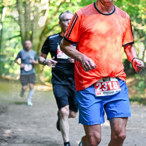 28.09.2025 - 33. Volkslauf durch das schöne Alstertal Dr. Thomas Lammeyer http://msf.ph/oto/8954471 28.09.2025 10:38:49 Laufen 2318 meine-sportfotos.de