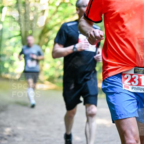 28.09.2025 - 33. Volkslauf durch das schöne Alstertal Dr. Thomas Lammeyer http://msf.ph/oto/8954474 28.09.2025 10:38:49 Laufen 2318 meine-sportfotos.de