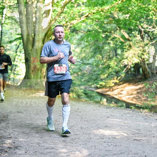 28.09.2025 - 33. Volkslauf durch das schöne Alstertal Dr. Thomas Lammeyer http://msf.ph/oto/8954477 28.09.2025 10:38:50 Laufen 2536 meine-sportfotos.de