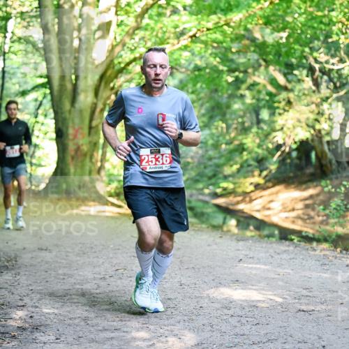28.09.2025 - 33. Volkslauf durch das schöne Alstertal Dr. Thomas Lammeyer http://msf.ph/oto/8954480 28.09.2025 10:38:50 Laufen 2536, 1 meine-sportfotos.de