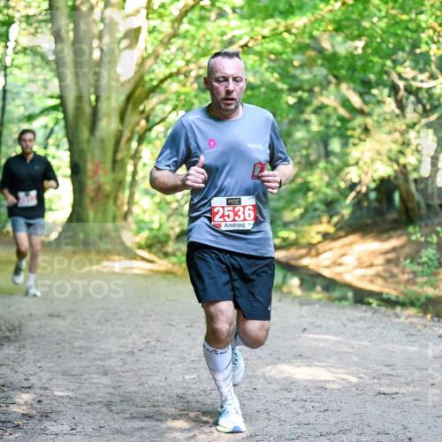 28.09.2025 - 33. Volkslauf durch das schöne Alstertal Dr. Thomas Lammeyer http://msf.ph/oto/8954483 28.09.2025 10:38:50 Laufen 2536 meine-sportfotos.de