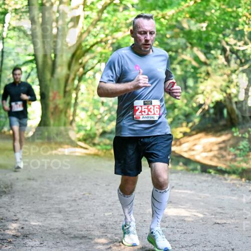 28.09.2025 - 33. Volkslauf durch das schöne Alstertal Dr. Thomas Lammeyer http://msf.ph/oto/8954485 28.09.2025 10:38:51 Laufen 2536 meine-sportfotos.de