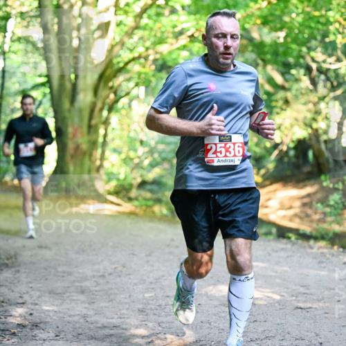 28.09.2025 - 33. Volkslauf durch das schöne Alstertal Dr. Thomas Lammeyer http://msf.ph/oto/8954486 28.09.2025 10:38:51 Laufen 2536 meine-sportfotos.de