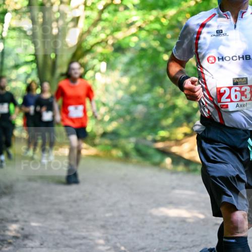 28.09.2025 - 33. Volkslauf durch das schöne Alstertal Dr. Thomas Lammeyer http://msf.ph/oto/8954534 28.09.2025 10:38:57 Laufen 2632 meine-sportfotos.de