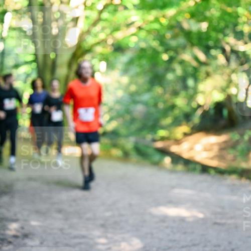 28.09.2025 - 33. Volkslauf durch das schöne Alstertal Dr. Thomas Lammeyer http://msf.ph/oto/8954537 28.09.2025 10:38:57 Laufen  meine-sportfotos.de