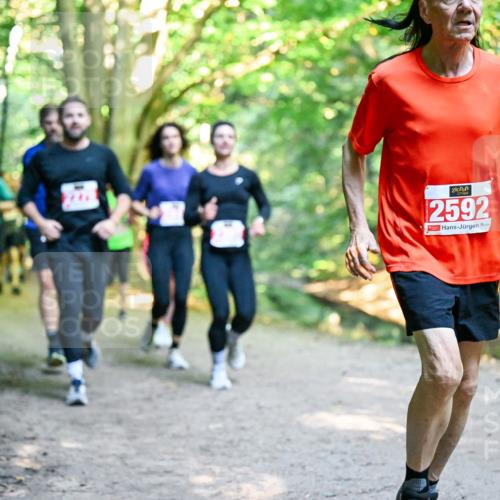 28.09.2025 - 33. Volkslauf durch das schöne Alstertal Dr. Thomas Lammeyer http://msf.ph/oto/8954548 28.09.2025 10:38:59 Laufen 2592 meine-sportfotos.de