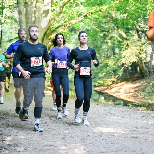 28.09.2025 - 33. Volkslauf durch das schöne Alstertal Dr. Thomas Lammeyer http://msf.ph/oto/8954549 28.09.2025 10:38:59 Laufen 2279, 12447, 2280 meine-sportfotos.de