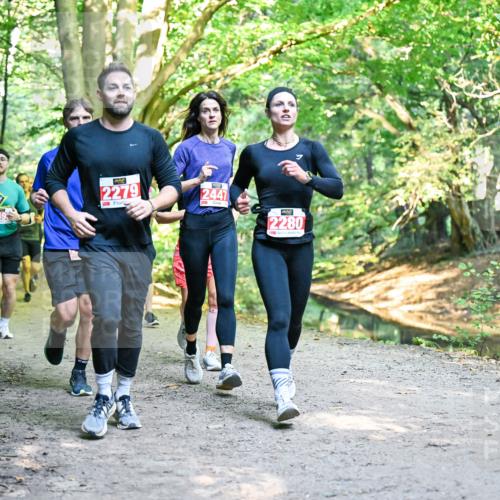 28.09.2025 - 33. Volkslauf durch das schöne Alstertal Dr. Thomas Lammeyer http://msf.ph/oto/8954550 28.09.2025 10:38:59 Laufen 2279, 2447, 2280 meine-sportfotos.de