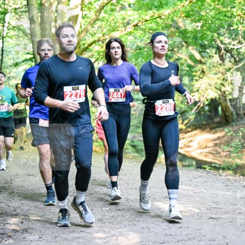 28.09.2025 - 33. Volkslauf durch das schöne Alstertal Dr. Thomas Lammeyer http://msf.ph/oto/8954553 28.09.2025 10:39:00 Laufen 2279, 2447, 2280 meine-sportfotos.de