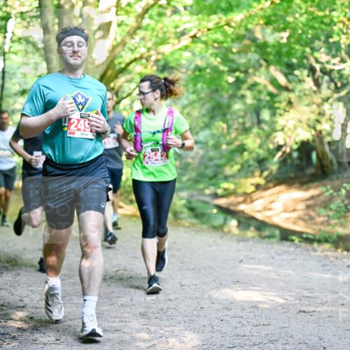 28.09.2025 - 33. Volkslauf durch das schöne Alstertal Dr. Thomas Lammeyer http://msf.ph/oto/8954569 28.09.2025 10:39:02 Laufen 249 meine-sportfotos.de