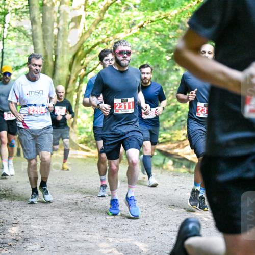 28.09.2025 - 33. Volkslauf durch das schöne Alstertal Dr. Thomas Lammeyer http://msf.ph/oto/8954577 28.09.2025 10:39:04 Laufen 2264, 2311, 23, 088 meine-sportfotos.de