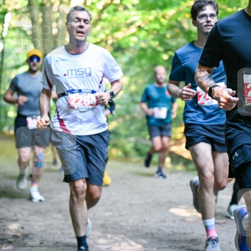 28.09.2025 - 33. Volkslauf durch das schöne Alstertal Dr. Thomas Lammeyer http://msf.ph/oto/8954588 28.09.2025 10:39:05 Laufen 2264, 2311 meine-sportfotos.de