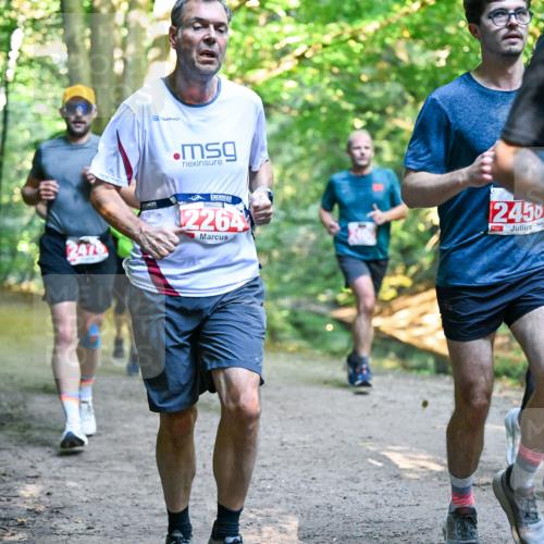 28.09.2025 - 33. Volkslauf durch das schöne Alstertal Dr. Thomas Lammeyer http://msf.ph/oto/8954589 28.09.2025 10:39:06 Laufen 2264, 2450, 23 meine-sportfotos.de