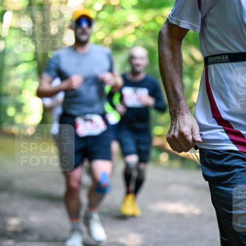 28.09.2025 - 33. Volkslauf durch das schöne Alstertal Dr. Thomas Lammeyer http://msf.ph/oto/8954591 28.09.2025 10:39:07 Laufen 226 meine-sportfotos.de