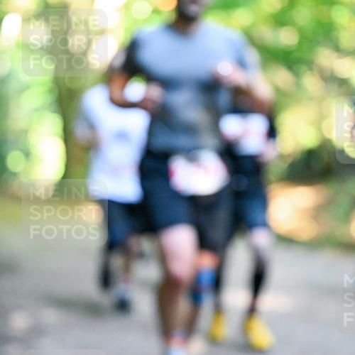 28.09.2025 - 33. Volkslauf durch das schöne Alstertal Dr. Thomas Lammeyer http://msf.ph/oto/8954595 28.09.2025 10:39:07 Laufen  meine-sportfotos.de