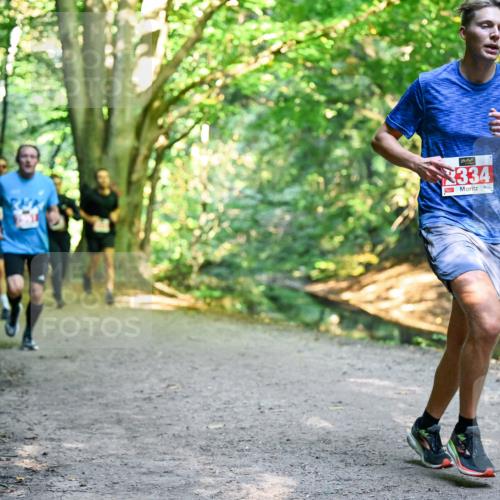 28.09.2025 - 33. Volkslauf durch das schöne Alstertal Dr. Thomas Lammeyer http://msf.ph/oto/8954615 28.09.2025 10:39:17 Laufen 334 meine-sportfotos.de