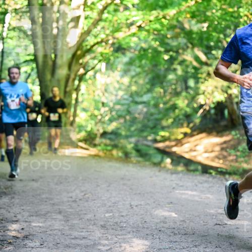 28.09.2025 - 33. Volkslauf durch das schöne Alstertal Dr. Thomas Lammeyer http://msf.ph/oto/8954616 28.09.2025 10:39:17 Laufen 334 meine-sportfotos.de