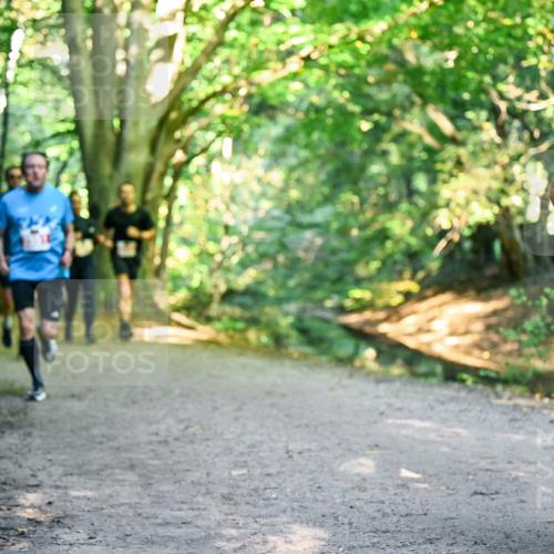 28.09.2025 - 33. Volkslauf durch das schöne Alstertal Dr. Thomas Lammeyer http://msf.ph/oto/8954617 28.09.2025 10:39:17 Laufen 2354 meine-sportfotos.de