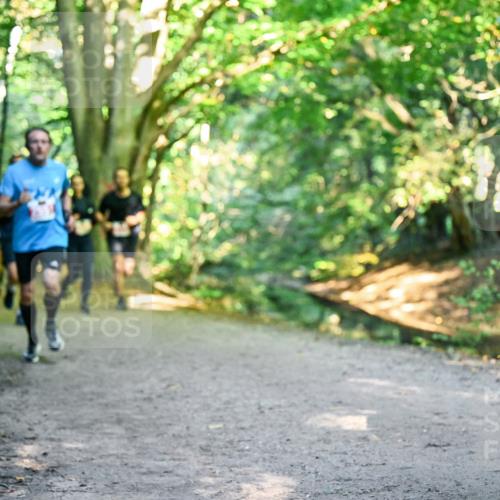 28.09.2025 - 33. Volkslauf durch das schöne Alstertal Dr. Thomas Lammeyer http://msf.ph/oto/8954618 28.09.2025 10:39:17 Laufen  meine-sportfotos.de