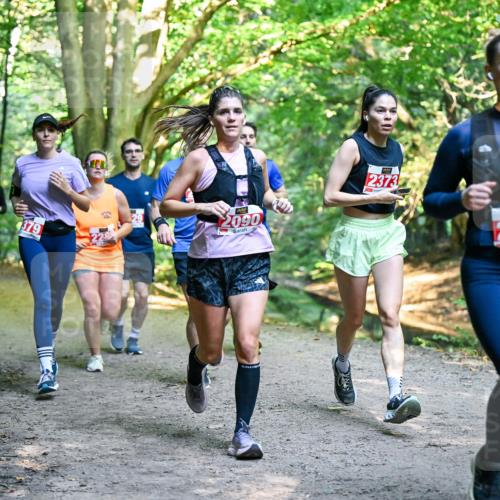 28.09.2025 - 33. Volkslauf durch das schöne Alstertal Dr. Thomas Lammeyer http://msf.ph/oto/8954643 28.09.2025 10:39:22 Laufen 379, 2090, 2373, 2416 meine-sportfotos.de