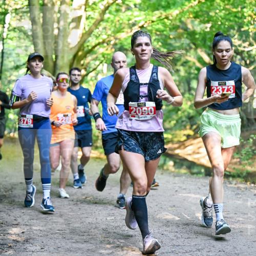 28.09.2025 - 33. Volkslauf durch das schöne Alstertal Dr. Thomas Lammeyer http://msf.ph/oto/8954645 28.09.2025 10:39:22 Laufen 379, 2289, 2090, 2373 meine-sportfotos.de