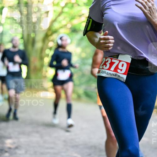 28.09.2025 - 33. Volkslauf durch das schöne Alstertal Dr. Thomas Lammeyer http://msf.ph/oto/8954659 28.09.2025 10:39:24 Laufen 2379 meine-sportfotos.de
