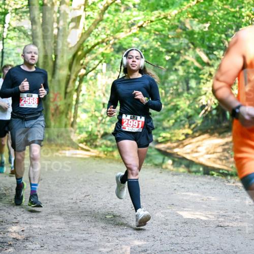 28.09.2025 - 33. Volkslauf durch das schöne Alstertal Dr. Thomas Lammeyer http://msf.ph/oto/8954660 28.09.2025 10:39:24 Laufen 2568, 2991, 22 meine-sportfotos.de