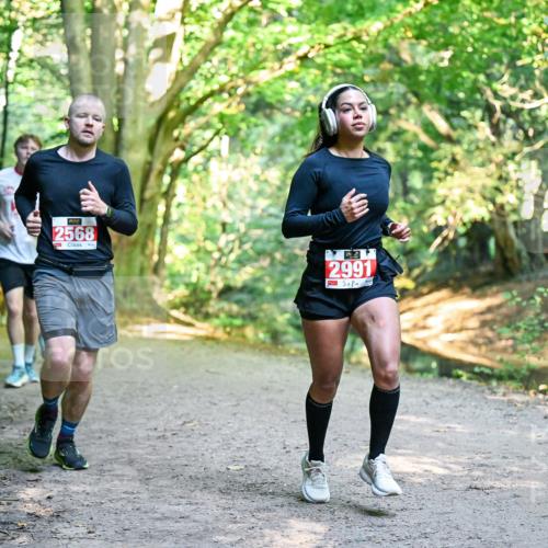 28.09.2025 - 33. Volkslauf durch das schöne Alstertal Dr. Thomas Lammeyer http://msf.ph/oto/8954663 28.09.2025 10:39:25 Laufen 2568, 2991 meine-sportfotos.de
