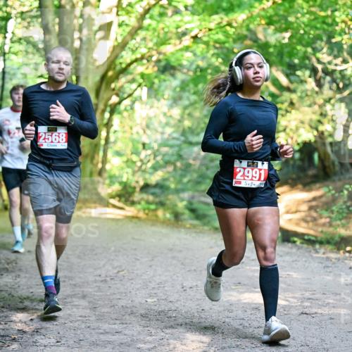 28.09.2025 - 33. Volkslauf durch das schöne Alstertal Dr. Thomas Lammeyer http://msf.ph/oto/8954664 28.09.2025 10:39:25 Laufen 2568, 2991 meine-sportfotos.de