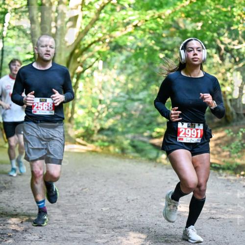 28.09.2025 - 33. Volkslauf durch das schöne Alstertal Dr. Thomas Lammeyer http://msf.ph/oto/8954665 28.09.2025 10:39:25 Laufen 2568, 2991 meine-sportfotos.de
