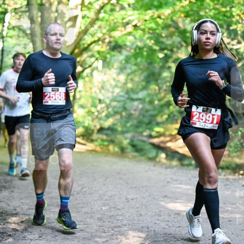 28.09.2025 - 33. Volkslauf durch das schöne Alstertal Dr. Thomas Lammeyer http://msf.ph/oto/8954666 28.09.2025 10:39:25 Laufen 2568, 2991 meine-sportfotos.de