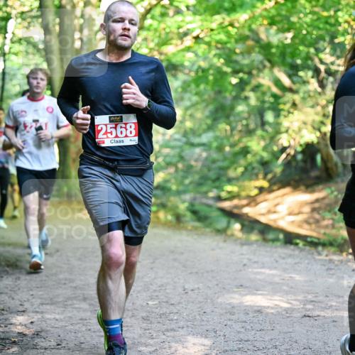 28.09.2025 - 33. Volkslauf durch das schöne Alstertal Dr. Thomas Lammeyer http://msf.ph/oto/8954667 28.09.2025 10:39:25 Laufen 2568, 2991 meine-sportfotos.de