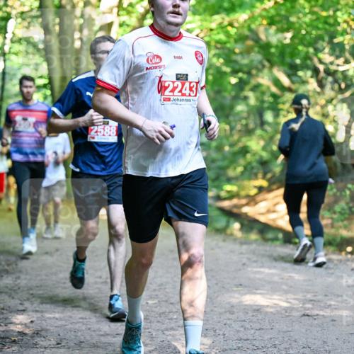 28.09.2025 - 33. Volkslauf durch das schöne Alstertal Dr. Thomas Lammeyer http://msf.ph/oto/8954679 28.09.2025 10:39:27 Laufen 2588, 2243 meine-sportfotos.de