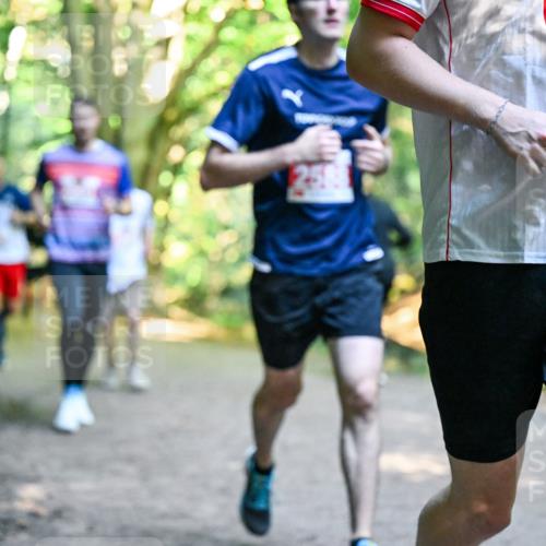 28.09.2025 - 33. Volkslauf durch das schöne Alstertal Dr. Thomas Lammeyer http://msf.ph/oto/8954684 28.09.2025 10:39:28 Laufen 2243 meine-sportfotos.de