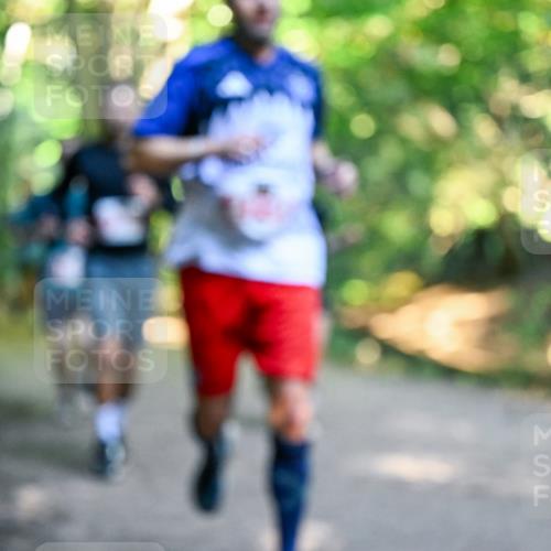 28.09.2025 - 33. Volkslauf durch das schöne Alstertal Dr. Thomas Lammeyer http://msf.ph/oto/8954706 28.09.2025 10:39:31 Laufen  meine-sportfotos.de
