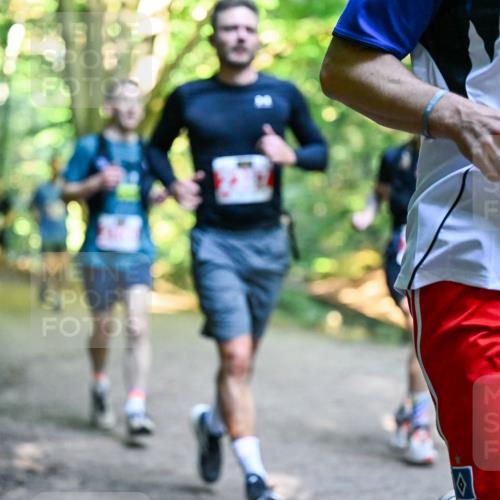 28.09.2025 - 33. Volkslauf durch das schöne Alstertal Dr. Thomas Lammeyer http://msf.ph/oto/8954711 28.09.2025 10:39:32 Laufen 2119 meine-sportfotos.de