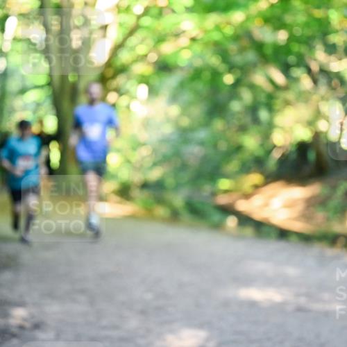 28.09.2025 - 33. Volkslauf durch das schöne Alstertal Dr. Thomas Lammeyer http://msf.ph/oto/8954723 28.09.2025 10:39:34 Laufen  meine-sportfotos.de