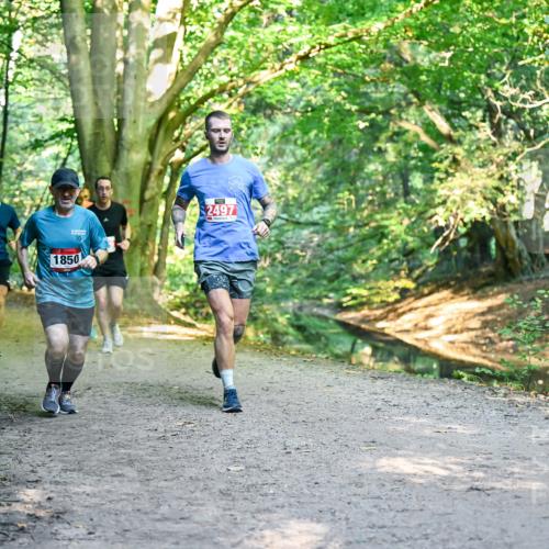 28.09.2025 - 33. Volkslauf durch das schöne Alstertal Dr. Thomas Lammeyer http://msf.ph/oto/8954726 28.09.2025 10:39:34 Laufen 1850, 2497 meine-sportfotos.de