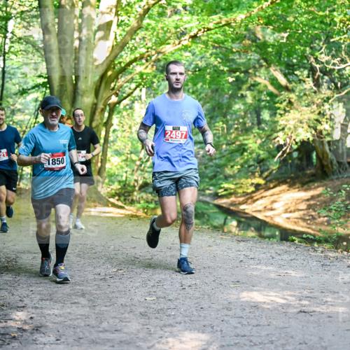 28.09.2025 - 33. Volkslauf durch das schöne Alstertal Dr. Thomas Lammeyer http://msf.ph/oto/8954729 28.09.2025 10:39:35 Laufen 2621, 850, 2497 meine-sportfotos.de