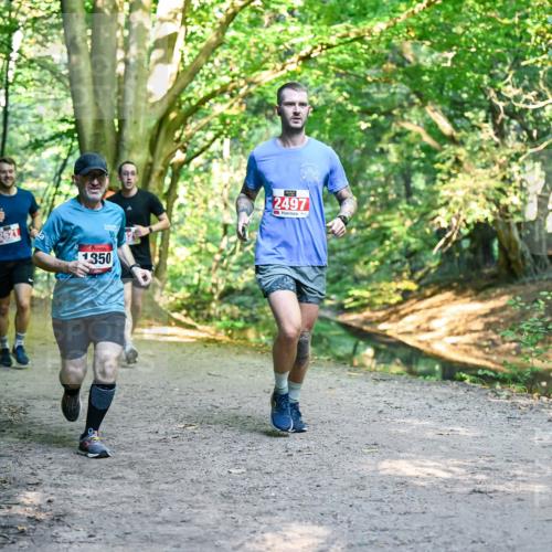 28.09.2025 - 33. Volkslauf durch das schöne Alstertal Dr. Thomas Lammeyer http://msf.ph/oto/8954731 28.09.2025 10:39:35 Laufen 2621, 1350, 2497 meine-sportfotos.de