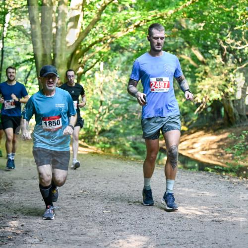 28.09.2025 - 33. Volkslauf durch das schöne Alstertal Dr. Thomas Lammeyer http://msf.ph/oto/8954734 28.09.2025 10:39:35 Laufen 32, 1850, 2497 meine-sportfotos.de