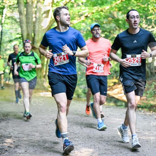 28.09.2025 - 33. Volkslauf durch das schöne Alstertal Dr. Thomas Lammeyer http://msf.ph/oto/8954751 28.09.2025 10:39:38 Laufen 2621, 2196, 2529 meine-sportfotos.de