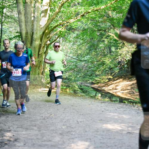 28.09.2025 - 33. Volkslauf durch das schöne Alstertal Dr. Thomas Lammeyer http://msf.ph/oto/8954774 28.09.2025 10:39:41 Laufen 2081, 21 meine-sportfotos.de