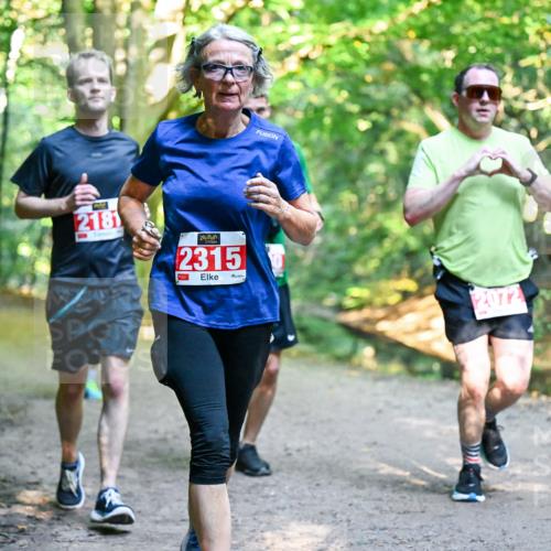 28.09.2025 - 33. Volkslauf durch das schöne Alstertal Dr. Thomas Lammeyer http://msf.ph/oto/8954787 28.09.2025 10:39:43 Laufen 2181, 2315, 2072 meine-sportfotos.de