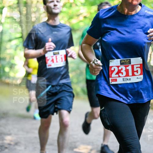 28.09.2025 - 33. Volkslauf durch das schöne Alstertal Dr. Thomas Lammeyer http://msf.ph/oto/8954790 28.09.2025 10:39:44 Laufen 2181, 2315 meine-sportfotos.de