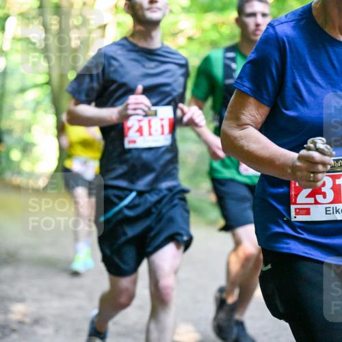 28.09.2025 - 33. Volkslauf durch das schöne Alstertal Dr. Thomas Lammeyer http://msf.ph/oto/8954792 28.09.2025 10:39:44 Laufen 2181, 2315 meine-sportfotos.de